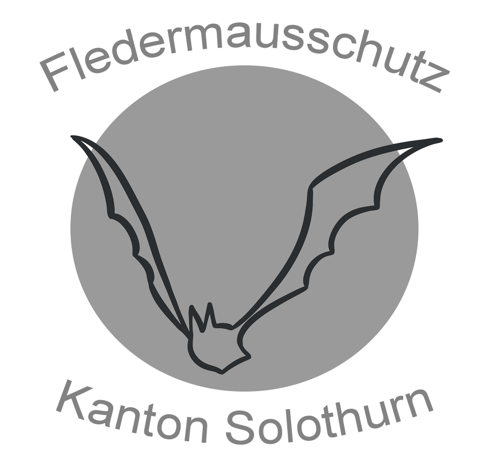 Fledermausschutz – Kanton Solothurn