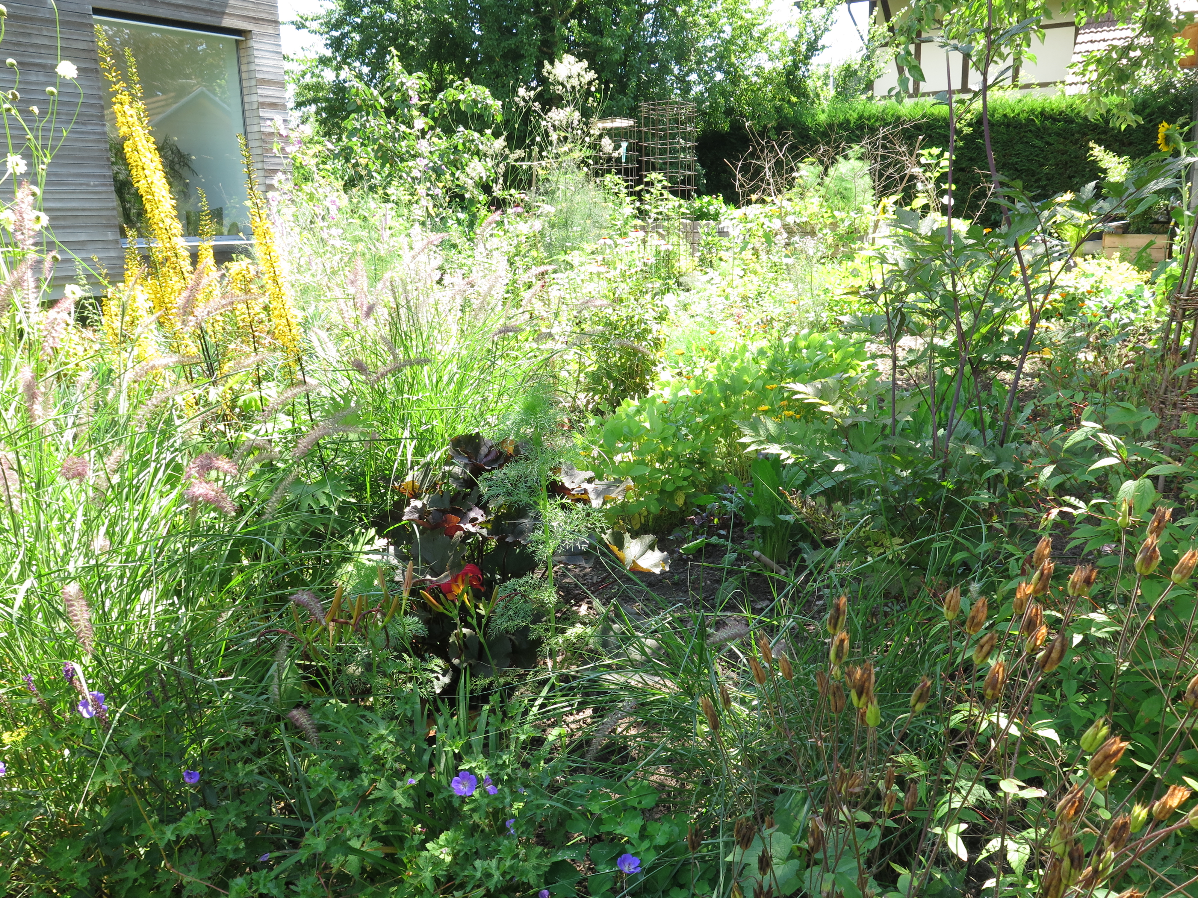 Naturbelassene Gärten und Hecken bieten Fledermäusen Nahrung und Quartier.